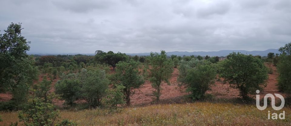 Land in Cercal of 31,000 m²