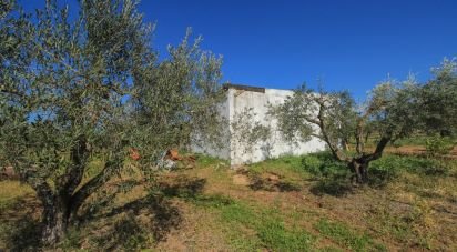 Domaine T0 à São João Baptista de 46 250 m²