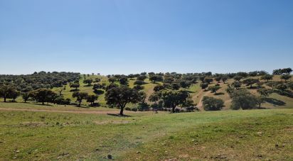 Terrain agricole à Alcaria Ruiva de 406 500 m²