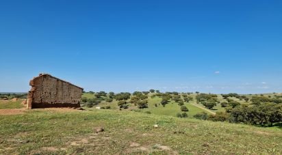 Terrain agricole à Alcaria Ruiva de 406 500 m²