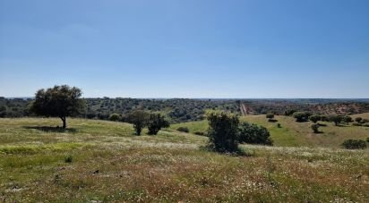 Terrain agricole à Alcaria Ruiva de 406 500 m²