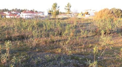 Terrain à Asseiceira de 805 m²