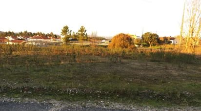 Terrain à Asseiceira de 805 m²