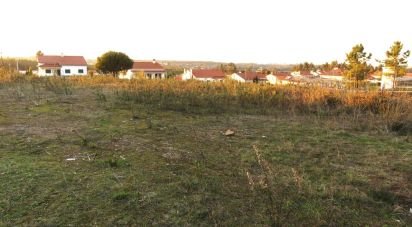 Terrain à Asseiceira de 805 m²