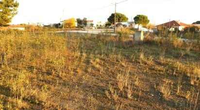 Terrain à Asseiceira de 805 m²