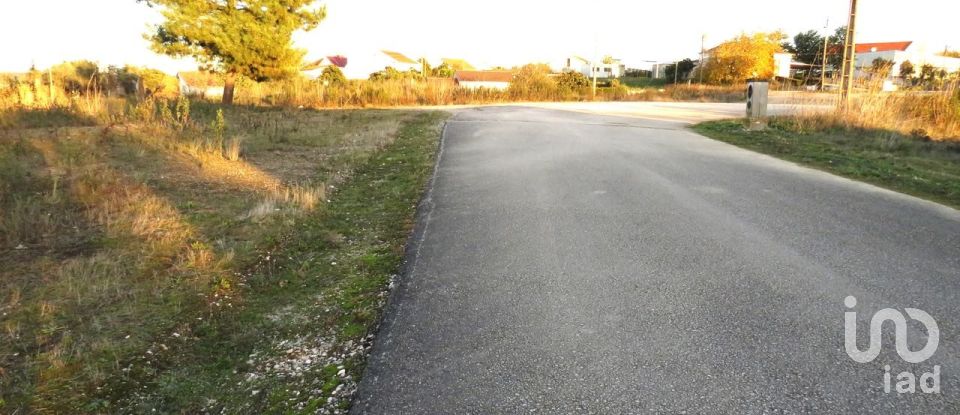 Land in Asseiceira of 805 m²