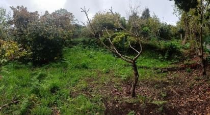 Terrain à Machico de 865 m²