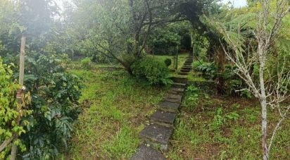 Terrain à Machico de 865 m²