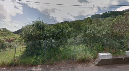 Terrain à Machico de 710 m²
