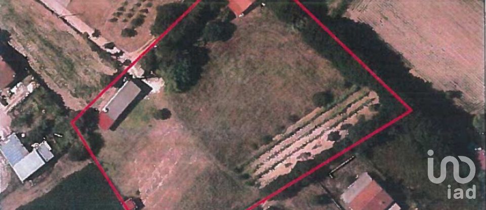 Terreno em São João do Campo de 6 500 m²