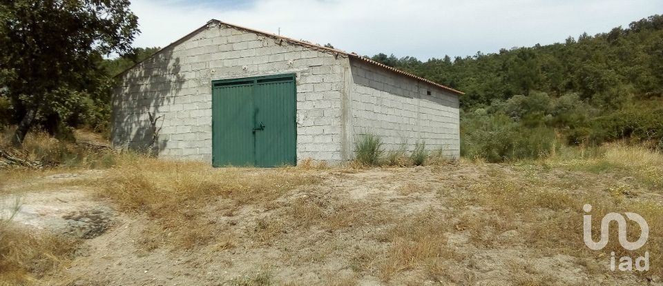 Farm T0 in Belmonte e Colmeal da Torre of 33,614 m²