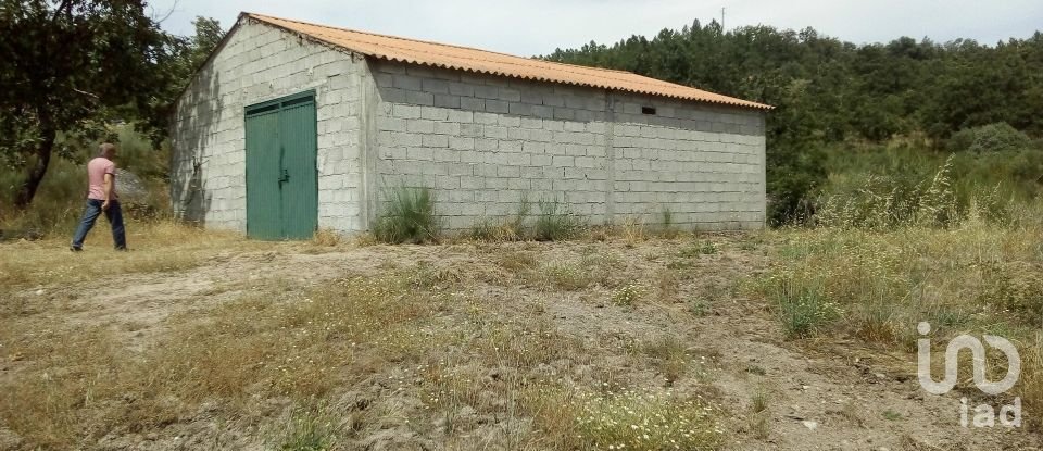 Farm T0 in Belmonte e Colmeal da Torre of 33,614 m²