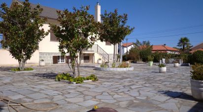 Lodge T7 in Souro Pires of 220 m²