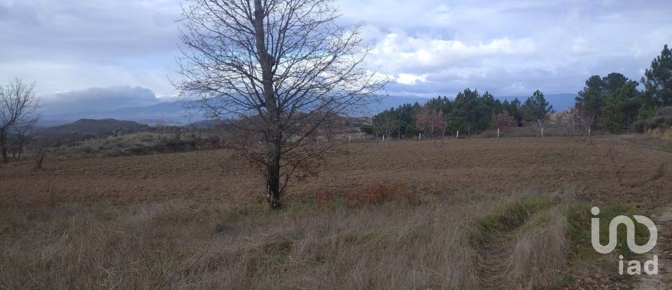 Terrain agricole à Sortelha de 140 000 m²