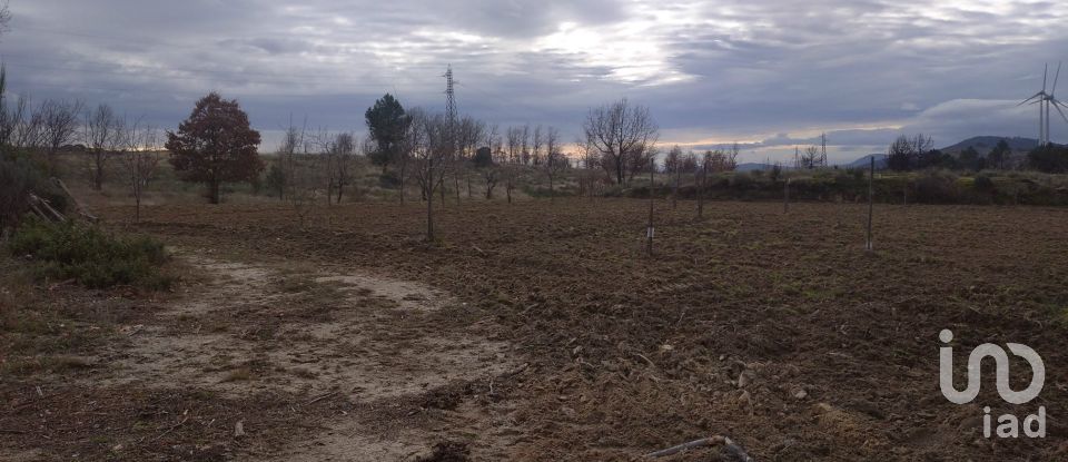 Agricultural land in Sortelha of 140,000 m²