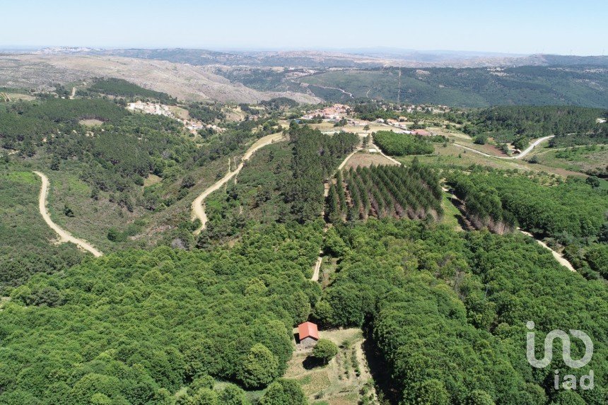 Terrain agricole à Videmonte de 55 000 m²