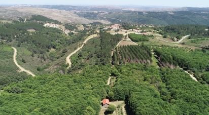 Agricultural land in Videmonte of 55,000 m²