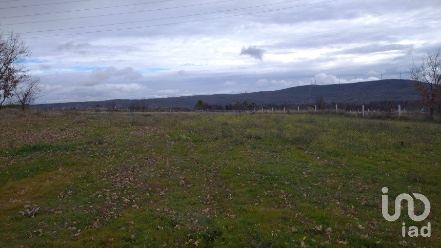 Terrain agricole à Sortelha de 20 000 m²