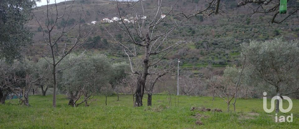 Farm T2 in Mizarela, Pêro Soares e Vila Soeiro of 140 m²