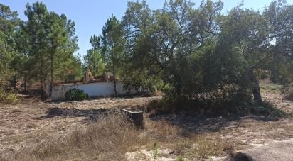 Ferme T0 à Coruche, Fajarda e Erra de 60 m²