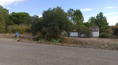 Ferme T0 à Coruche, Fajarda e Erra de 60 m²