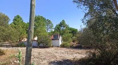 Ferme T0 à Coruche, Fajarda e Erra de 60 m²