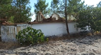 Ferme T0 à Coruche, Fajarda e Erra de 60 m²