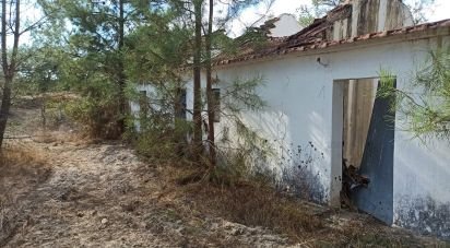 Ferme T0 à Coruche, Fajarda e Erra de 60 m²