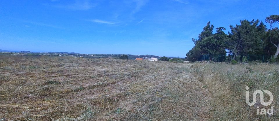 Land in Carnota of 40,400 m²