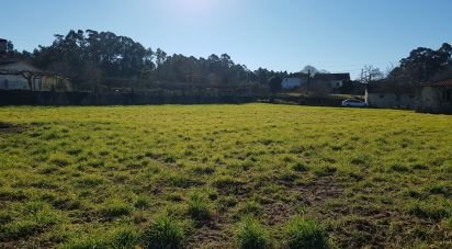 Terrain à Campos e Vila Meã de 1 214 m²