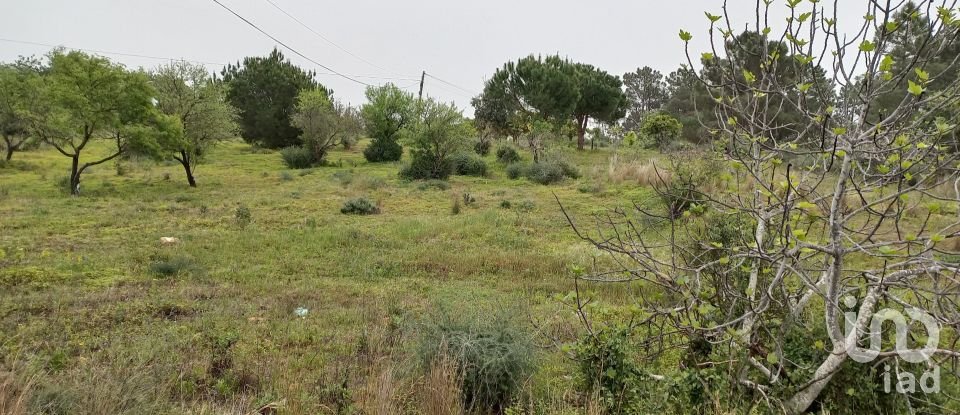 Agricultural land in Quarteira of 3,500 m²