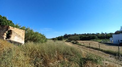 Agricultural land in Quarteira of 1,250 m²