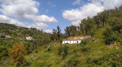 Terrain à bâtir à Monchique de 73 320 m²