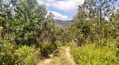 Terrain à bâtir à Monchique de 73 320 m²