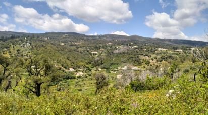 Terrain à bâtir à Monchique de 73 320 m²