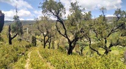 Terrain à bâtir à Monchique de 73 320 m²