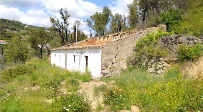 Terrain à bâtir à Monchique de 73 320 m²