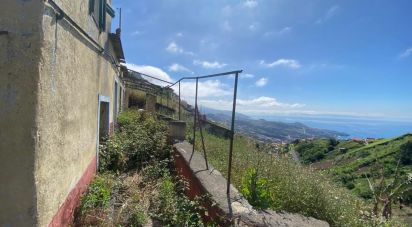 Maison T1 à Câmara de Lobos de 37 m²