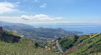 Maison T1 à Câmara de Lobos de 37 m²