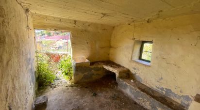 Maison T1 à Câmara de Lobos de 37 m²