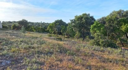 Terrain à Santa Bárbara de Nexe de 1 880 m²