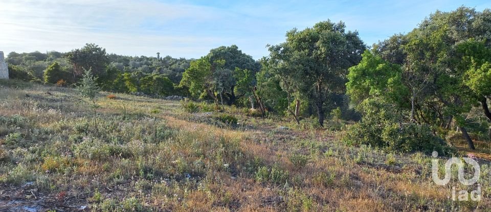 Terrain à Santa Bárbara de Nexe de 1 880 m²