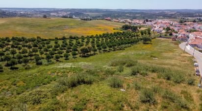 Land in Gaeiras of 4,773 m²