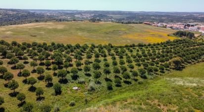 Land in Gaeiras of 4,773 m²