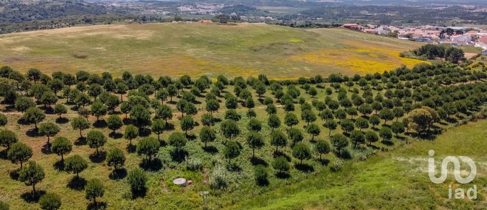 Terreno em Gaeiras de 4 773 m²