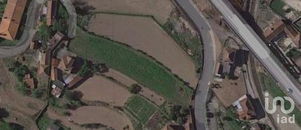 Terrain à bâtir à Pinheiro da Bemposta, Travanca e Palmaz de 2 900 m²
