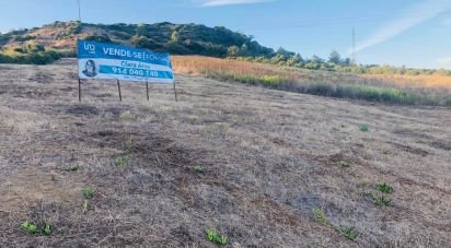 Terrain agricole à Dois Portos e Runa de 28 100 m²