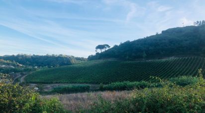 Terrain agricole à Dois Portos e Runa de 28 100 m²