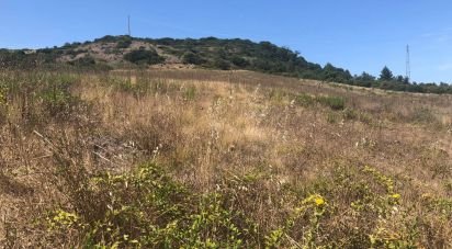 Terrain agricole à Dois Portos e Runa de 28 100 m²