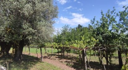 Ferme T2 à Cardielos e Serreleis de 166 m²